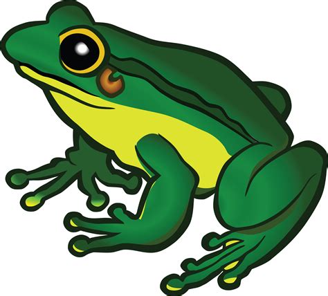 frog clipart